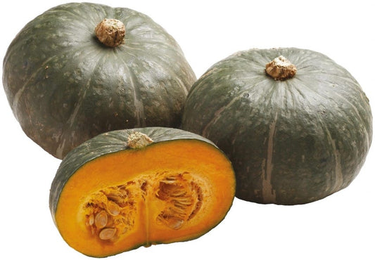 Zucca delica