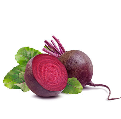 Erbette