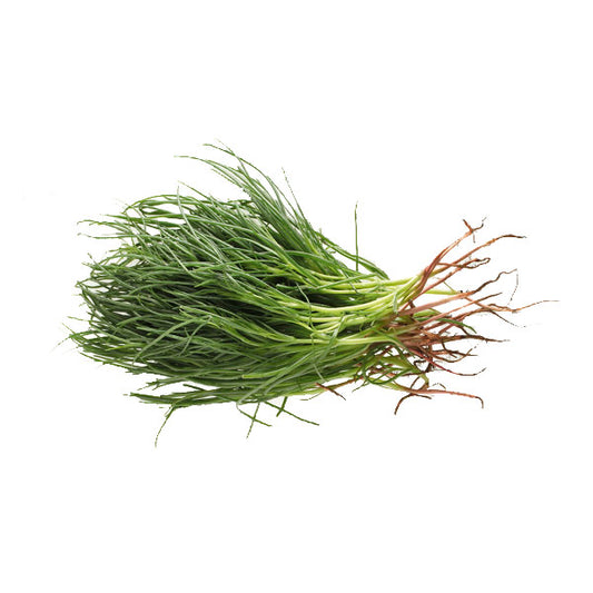 Agretti