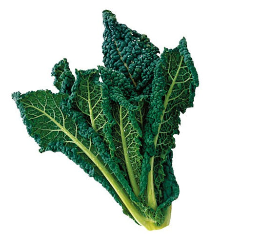 Cavolo nero