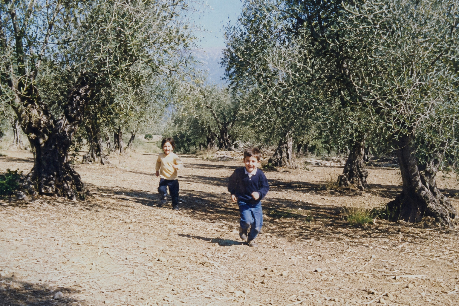 Dal Siciliano- l'ortofrutta d'eccellenza
