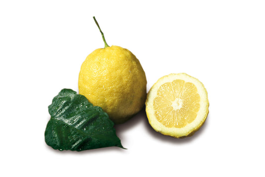Limoni costiera Amalfitana