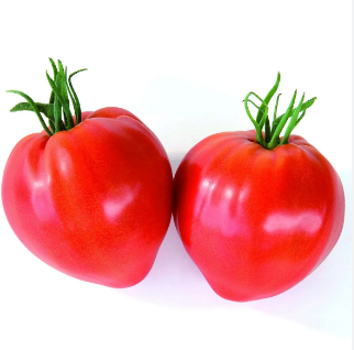 Pomodoro cuore rosso