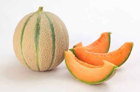 Melone Retato