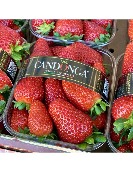 Fragole  Basilicata
