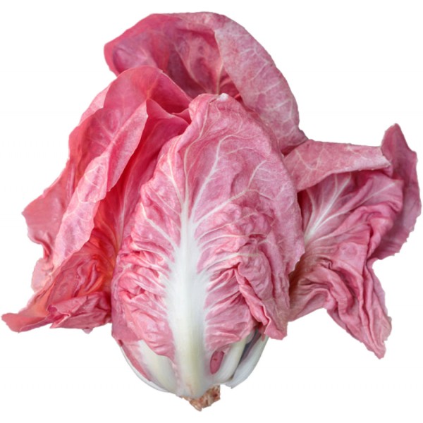 Radicchio Rosa