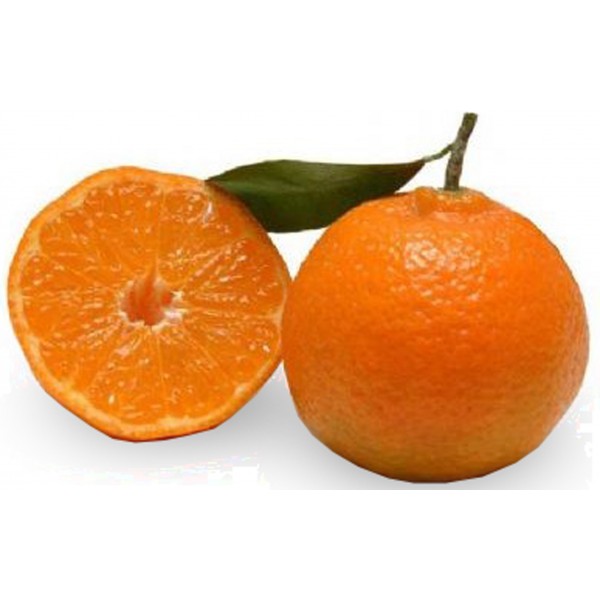 Mandarini Siciliani
