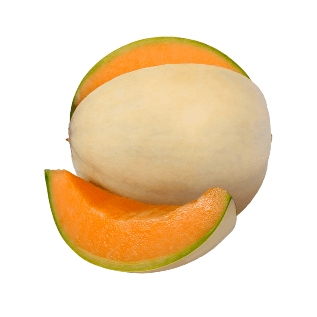 Melone liscio