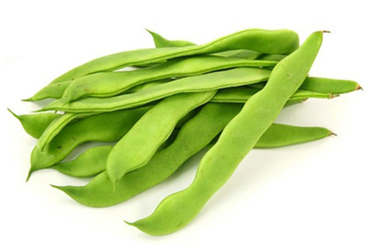 Fagiolino piatto