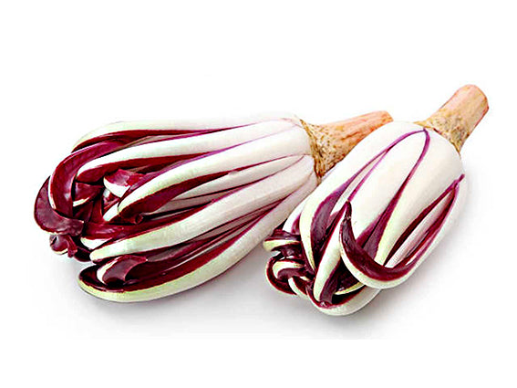 Radicchio Tardivo Extra