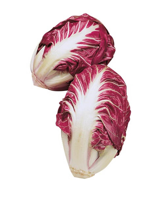 Radicchio Veronese