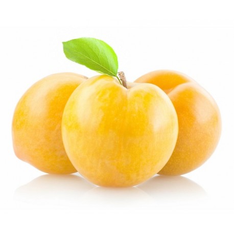Prugne gialle- Goccia d'oro