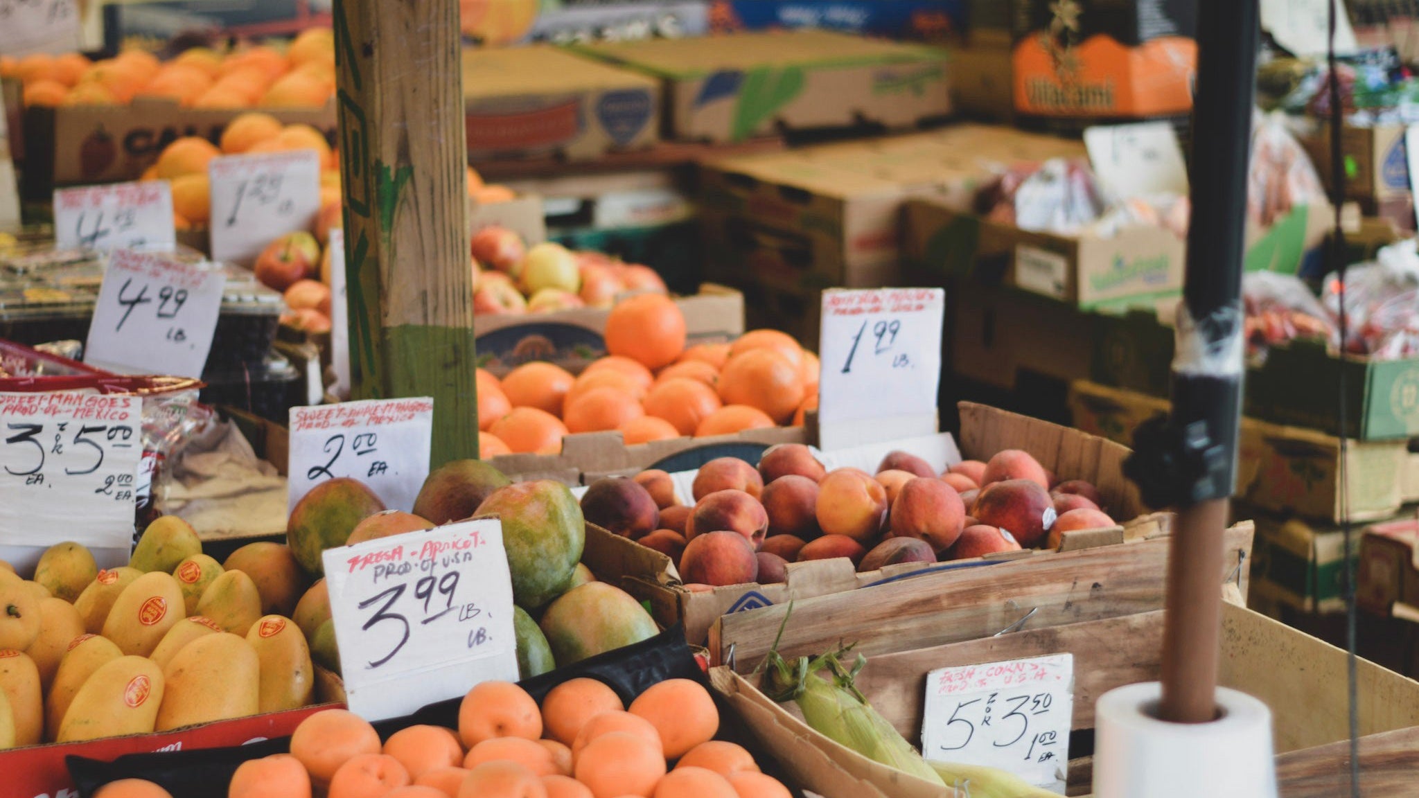 Dal Siciliano- l'ortofrutta d'eccellenza