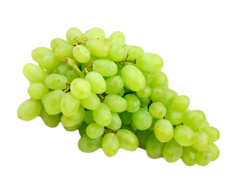Uva Vittoria