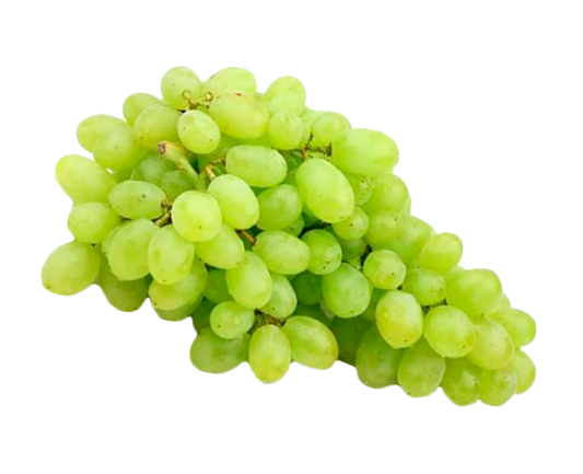 Uva Vittoria